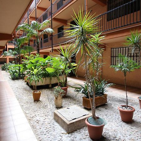 Apartamento Benidorm 3 Zewnętrze zdjęcie